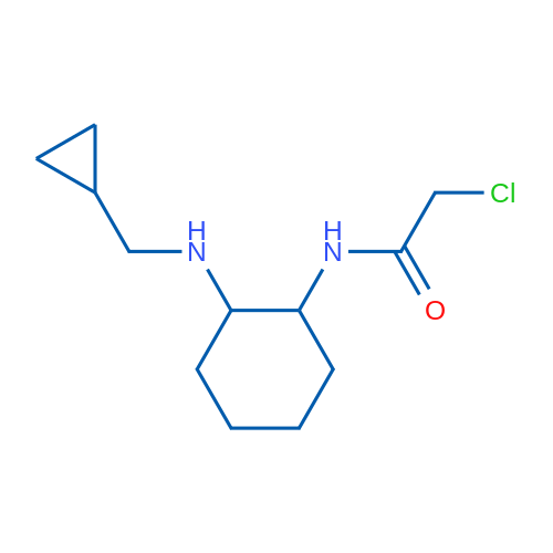 2-Chloro-N-(2-((cyclopropylmethyl)amino)cyclohexyl)acetamide 1g