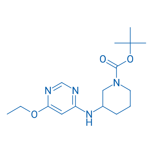 tert-Butyl 3-((6-ethoxypyrimidin-4-yl)amino)piperidine-1-carboxylate 1g