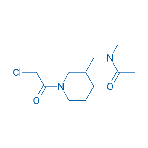 N-((1-(2-Chloroacetyl)piperidin-3-yl)methyl)-N-ethylacetamide 1g