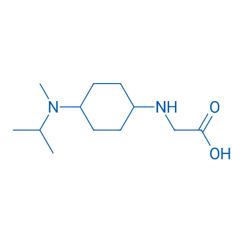 2-((4-(Isopropyl(methyl)amino)cyclohexyl)amino)acetic acid 1g