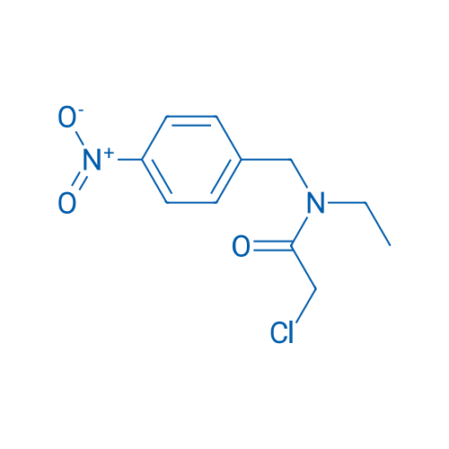 2-Chloro-N-ethyl-N-(4-nitrobenzyl)acetamide 1g