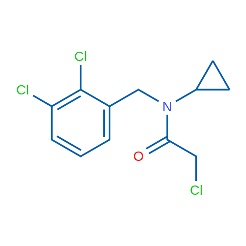 2-Chloro-N-cyclopropyl-N-(2,3-dichlorobenzyl)acetamide 1g