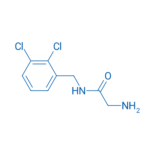 2-Amino-N-(2,3-dichlorobenzyl)acetamide 1g