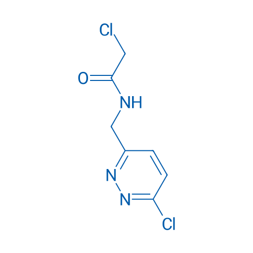 2-Chloro-N-((6-chloropyridazin-3-yl)methyl)acetamide 1g