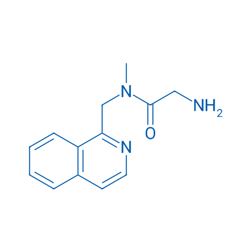 2-Amino-N-(isoquinolin-1-ylmethyl)-N-methylacetamide 1g