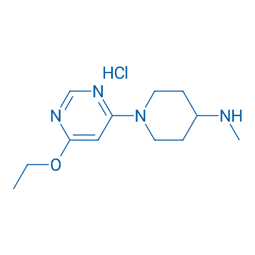 1-(6-Ethoxypyrimidin-4-yl)-N-methylpiperidin-4-amine hydrochloride 1g