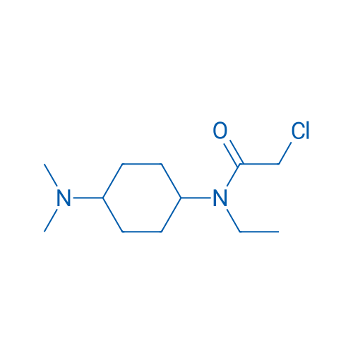 2-Chloro-N-(4-(dimethylamino)cyclohexyl)-N-ethylacetamide 1g