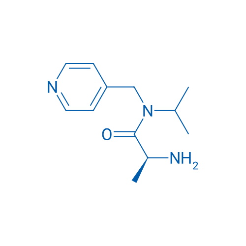 (S)-2-Amino-N-isopropyl-N-(pyridin-4-ylmethyl)propanamide 1g