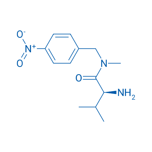 (S)-2-Amino-N,3-dimethyl-N-(4-nitrobenzyl)butanamide 1g