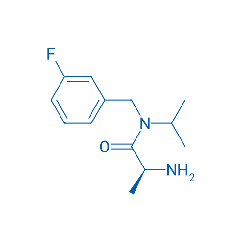 (S)-2-Amino-N-(3-fluorobenzyl)-N-isopropylpropanamide 1g