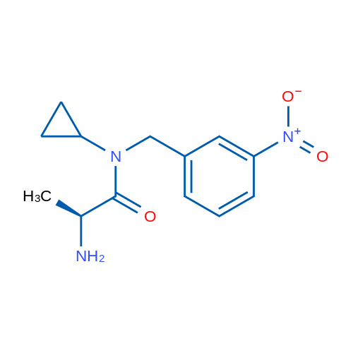 (S)-2-Amino-N-cyclopropyl-N-(3-nitrobenzyl)propanamide 1g