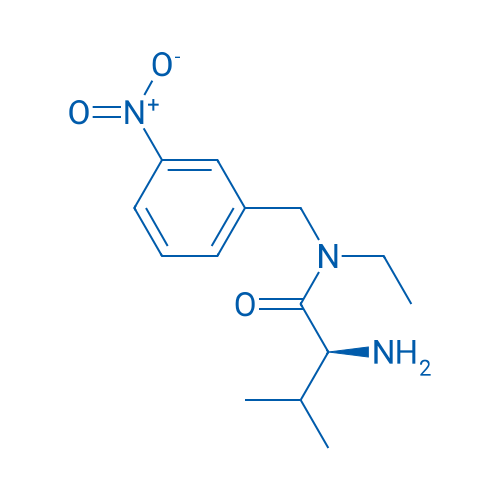 (S)-2-Amino-N-ethyl-3-methyl-N-(3-nitrobenzyl)butanamide 1g