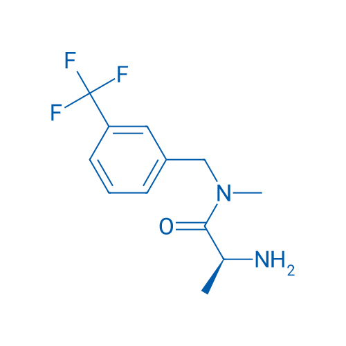 (S)-2-Amino-N-methyl-N-(3-(trifluoromethyl)benzyl)propanamide 1g