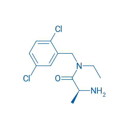 (S)-2-Amino-N-(2,5-dichlorobenzyl)-N-ethylpropanamide 1g