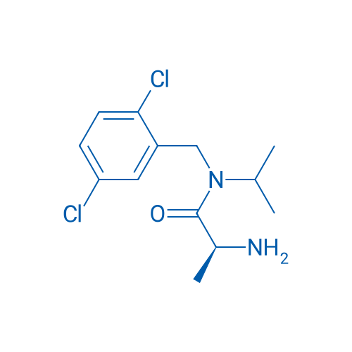 (S)-2-Amino-N-(2,5-dichlorobenzyl)-N-isopropylpropanamide 1g