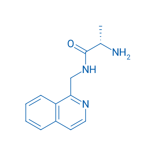(S)-2-Amino-N-(isoquinolin-1-ylmethyl)propanamide 1g