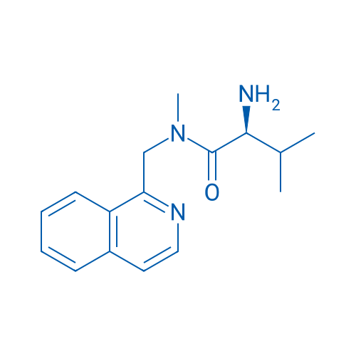 (S)-2-Amino-N-(isoquinolin-1-ylmethyl)-N,3-dimethylbutanamide 1g