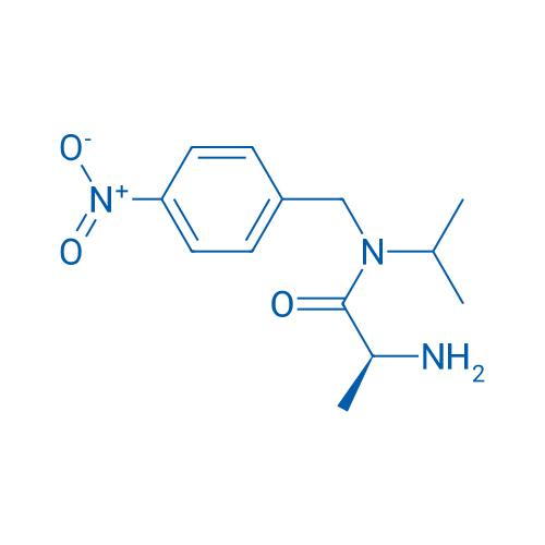 (S)-2-Amino-N-isopropyl-N-(4-nitrobenzyl)propanamide 1g