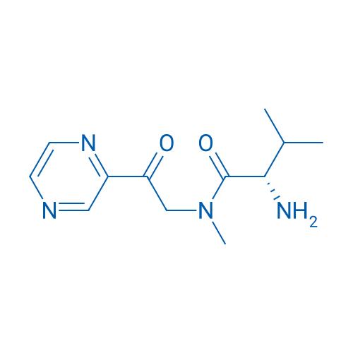 (S)-2-Amino-N,3-dimethyl-N-(2-oxo-2-(pyrazin-2-yl)ethyl)butanamide 1g
