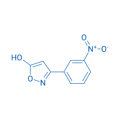 5-Isoxazolol, 3-(3-nitrophenyl)- 250mg