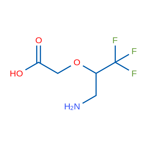 2-[(3-Amino-1,1,1-trifluoropropan-2-yl)oxy]acetic acid 1g