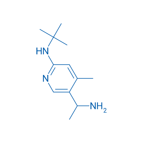 5-(1-Aminoethyl)-N-(tert-butyl)-4-methylpyridin-2-amine 1g