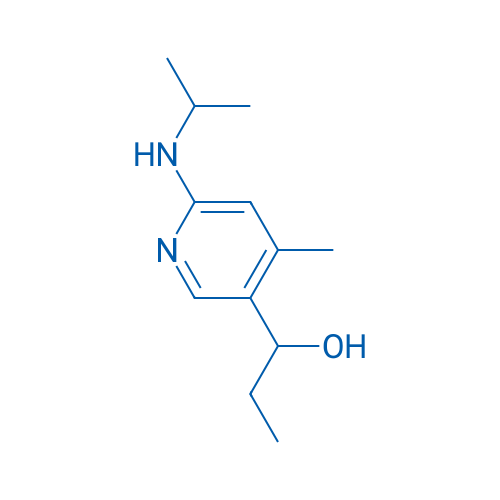 1-(6-(Isopropylamino)-4-methylpyridin-3-yl)propan-1-ol 1g