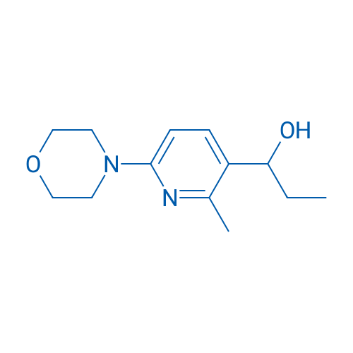 1-(2-Methyl-6-morpholinopyridin-3-yl)propan-1-ol 1g