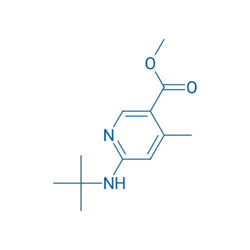 Methyl 6-(tert-butylamino)-4-methylnicotinate 1g