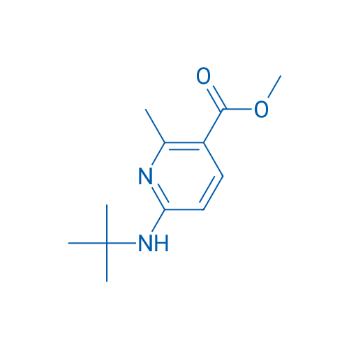Methyl 6-(tert-butylamino)-2-methylnicotinate 1g