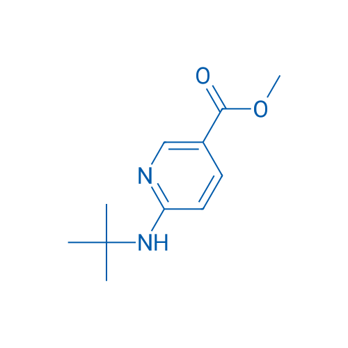 Methyl 6-(tert-butylamino)nicotinate 1g