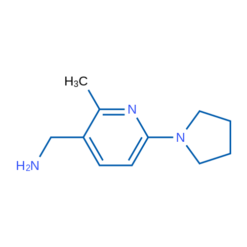 (2-Methyl-6-(pyrrolidin-1-yl)pyridin-3-yl)methanamine 1g