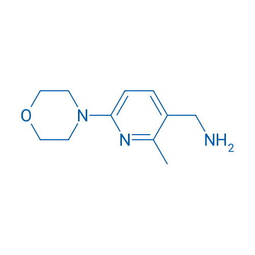 (2-Methyl-6-morpholinopyridin-3-yl)methanamine 1g