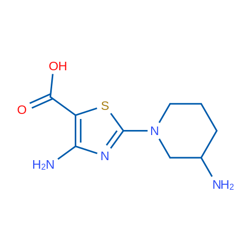 4-Amino-2-(3-aminopiperidin-1-yl)thiazole-5-carboxylic acid 1g