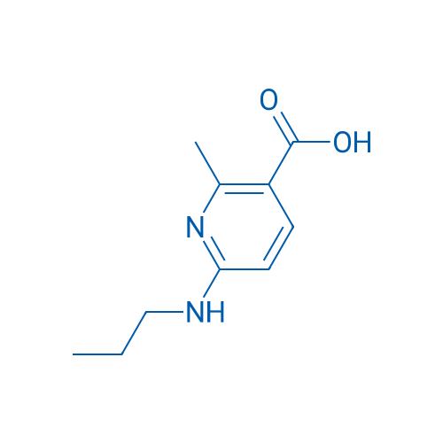2-Methyl-6-(propylamino)nicotinic acid 1g
