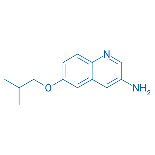 6-Isobutoxyquinolin-3-amine 1g