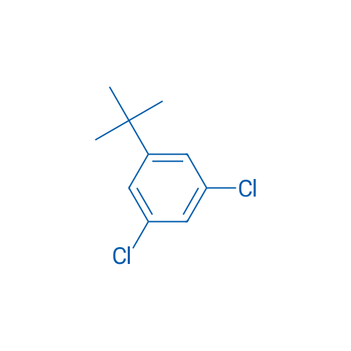 1-(tert-Butyl)-3,5-dichlorobenzene 100g