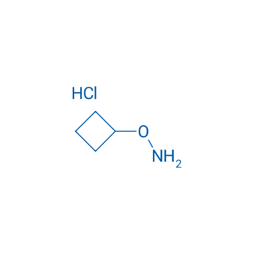 O-Cyclobutylhydroxylamine hydrochloride 250mg