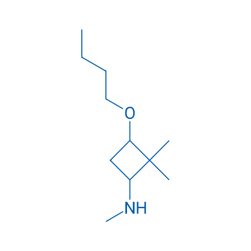 3-butoxy-N,2,2-trimethylcyclobutan-1-amine 100mg