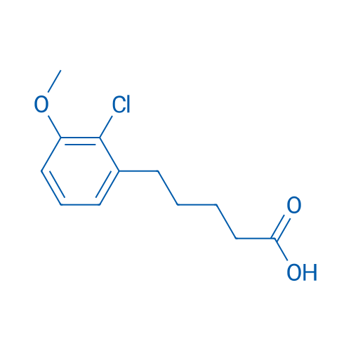 5-(2-Chloro-3-methoxyphenyl)pentanoic acid 1g