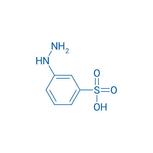 3-Hydrazinylbenzenesulfonic acid 1g