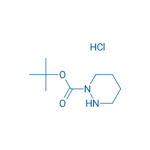 tert-Butyl 1,2-diazinane-1-carboxylate hydrochloride 5g