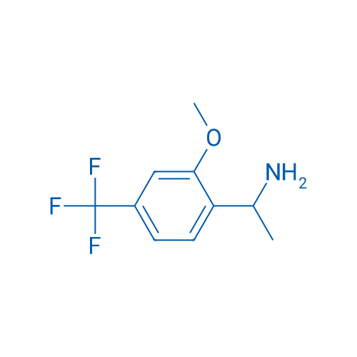 1-(2-Methoxy-4-(trifluoromethyl)phenyl)ethan-1-amine 1g