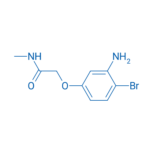 2-(3-Amino-4-bromophenoxy)-N-methylacetamide 250mg