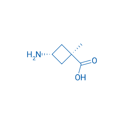 trans-3-amino-1-methylcyclobutane-1-carboxylic acid 1g