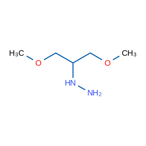 (1,3-Dimethoxypropan-2-yl)hydrazine 1g