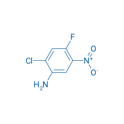 2-Chloro-4-fluoro-5-nitroaniline 250mg