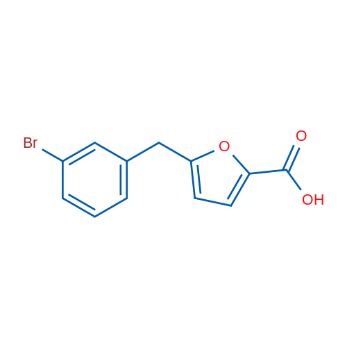 5-(3-Bromobenzyl)furan-2-carboxylic acid 1g
