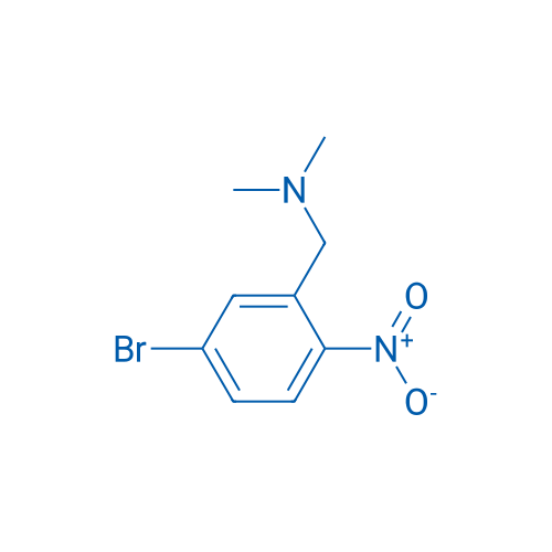 N,N-Dimethyl 5-bromo-2-nitrobenzylamine 1g