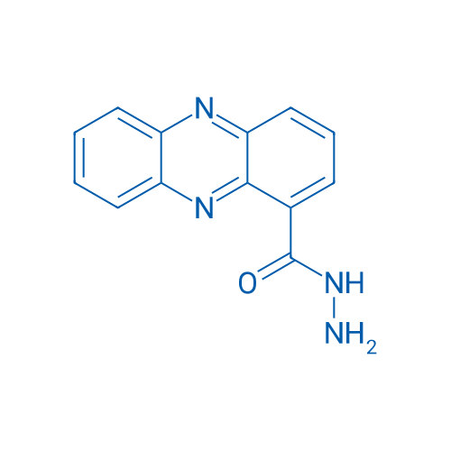 Phenazine-1-carbohydrazide 1g